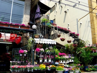 「花七生花店」　（神奈川県横浜市鶴見区）の花屋店舗写真2